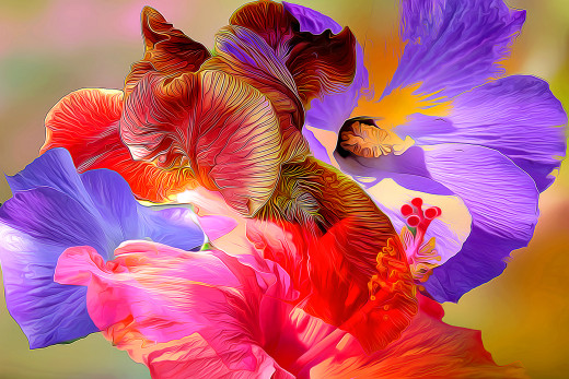 1036975 (a): :1920x1280